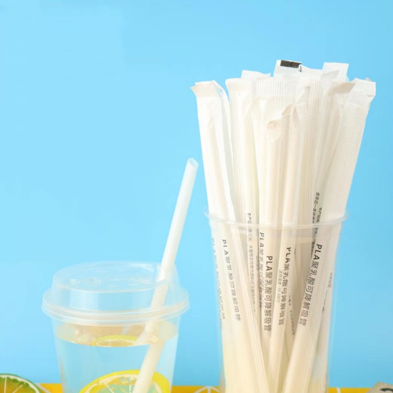disposable pla plastic straw wwpack4