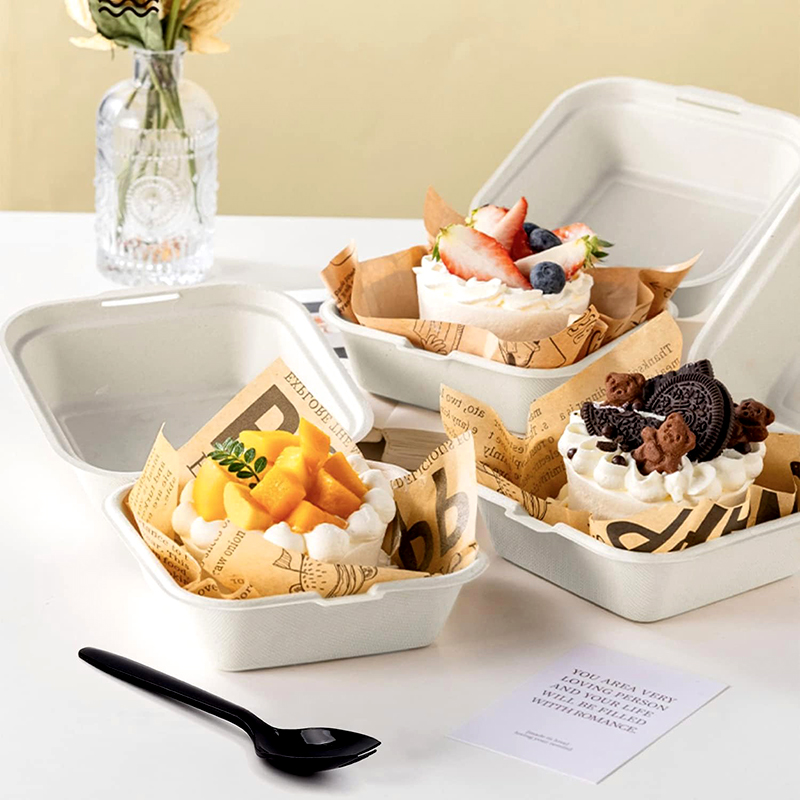 sugarcane molded pulp hamburger box wwpack4